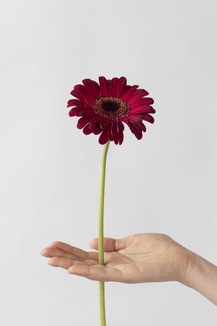 МӘКАЛЬЛӘР, ӘЙТЕМНӘР