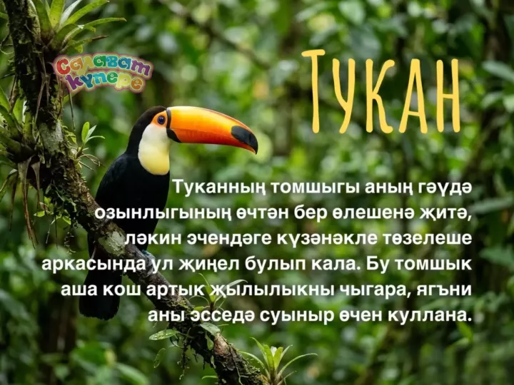 Син беләсеңме?