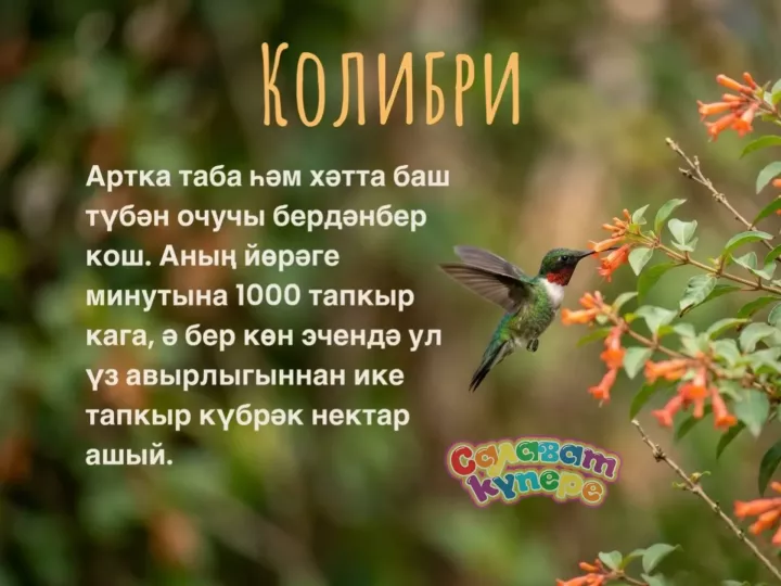 Син беләсеңме?