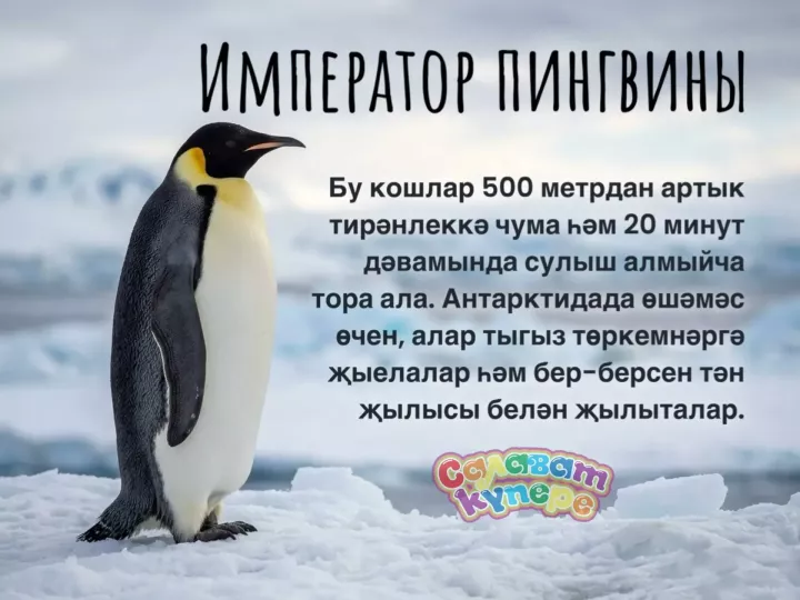 Син беләсеңме?