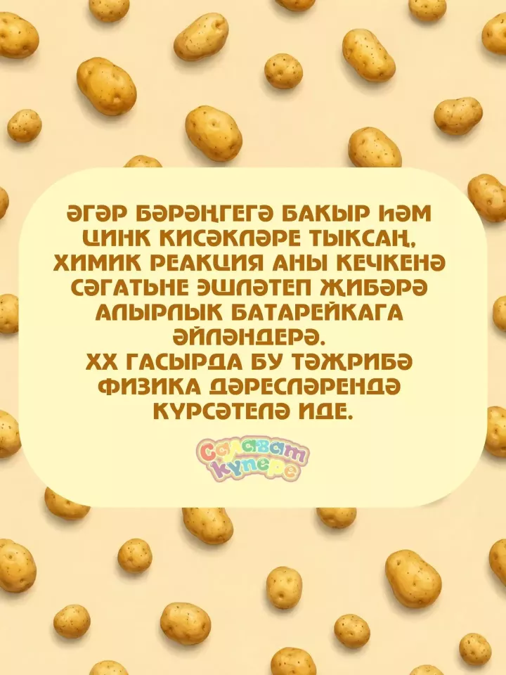 Бәрәңге көне