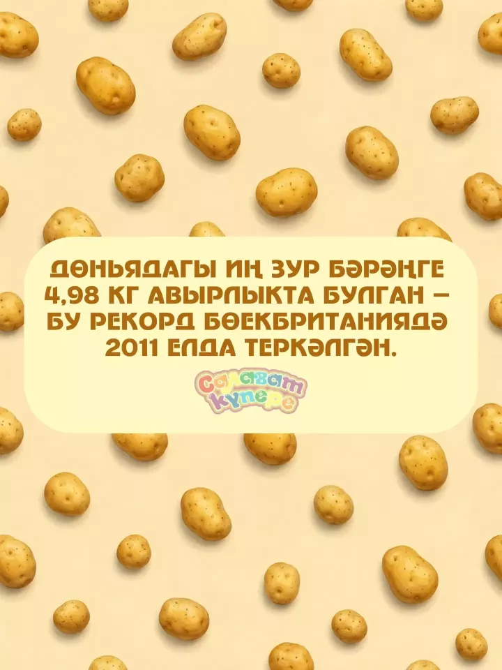 Бәрәңге көне